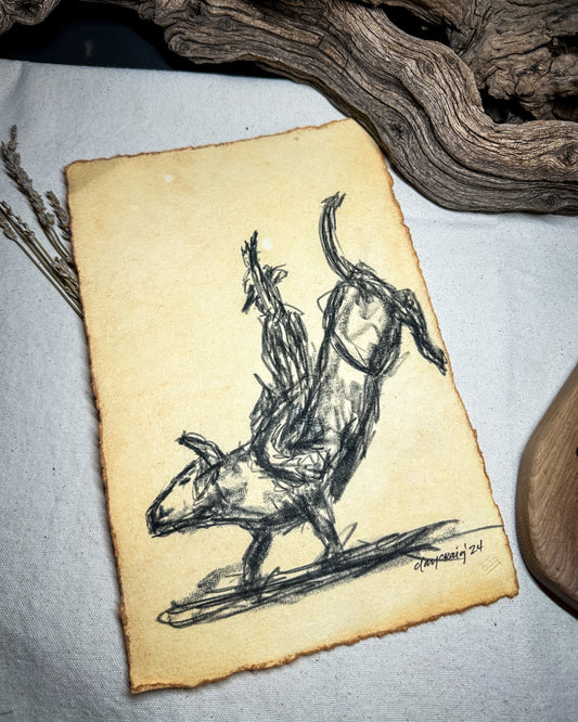 Wild Rodeo Collection - Bull 1